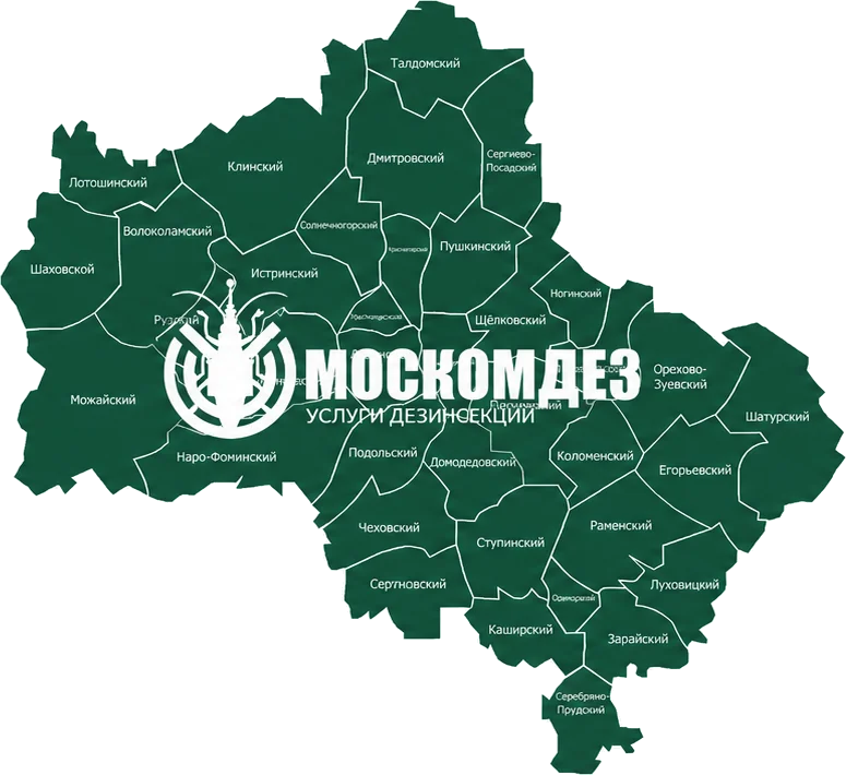 Карта выезда: Электроугли и Московская область